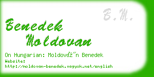 benedek moldovan business card